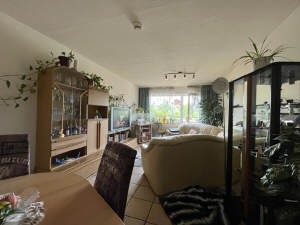 Bild8